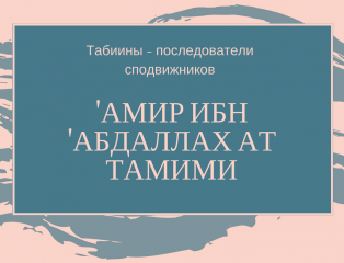 Картинки из жизни табиинов pdf