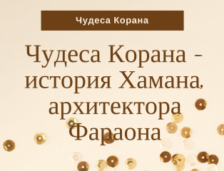 Чудеса из Корана. Чудеса Корана научные феномены. Чудеса Корана книга.